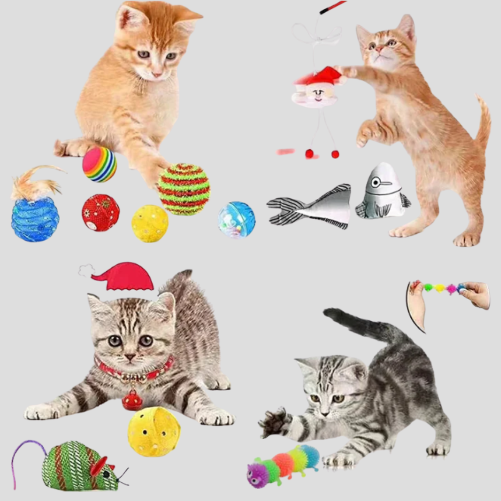 Nokmo | Cat Toy Advent Calendar for Christmas Countdown Fun