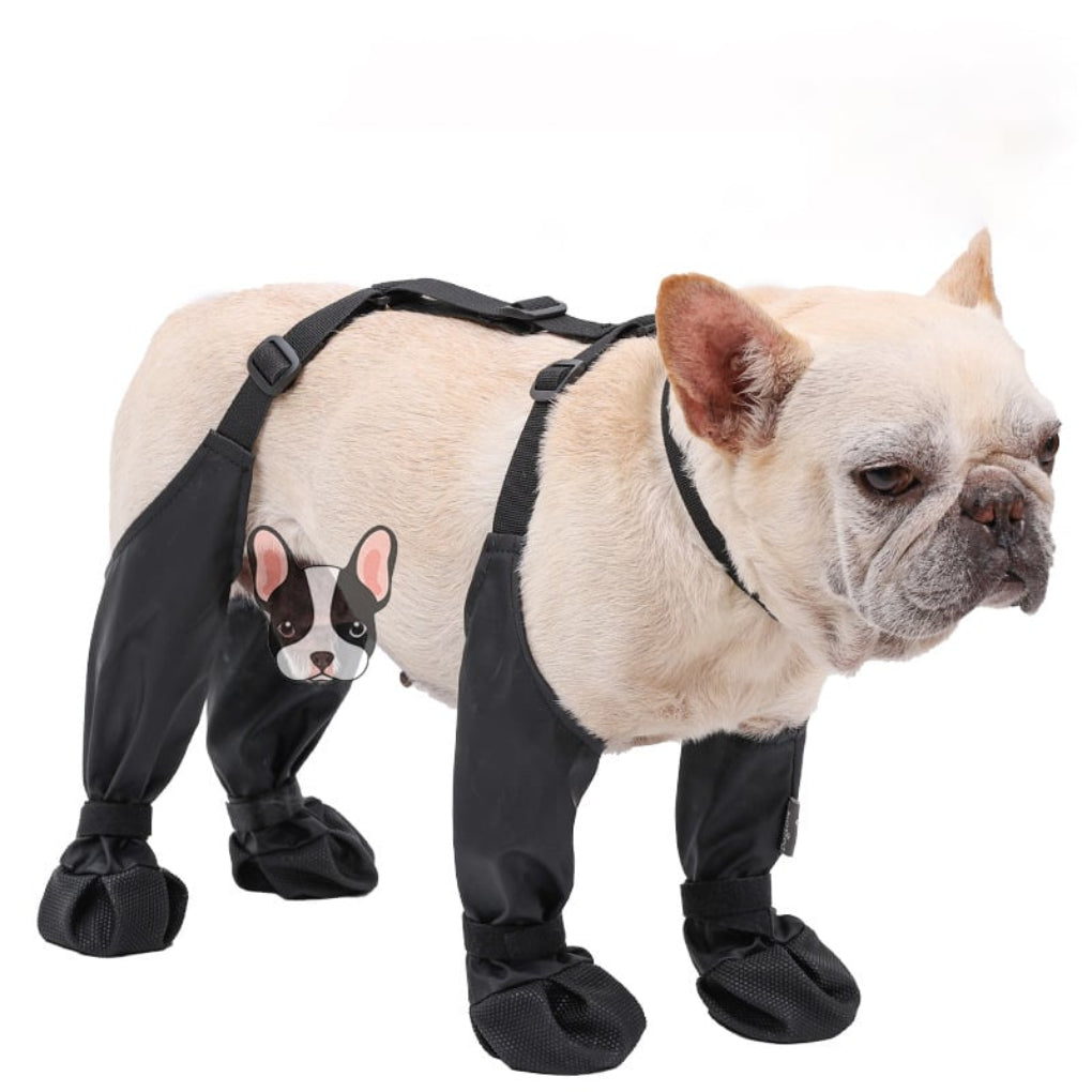 Nokmo | Dog Paw Protectors with Straps