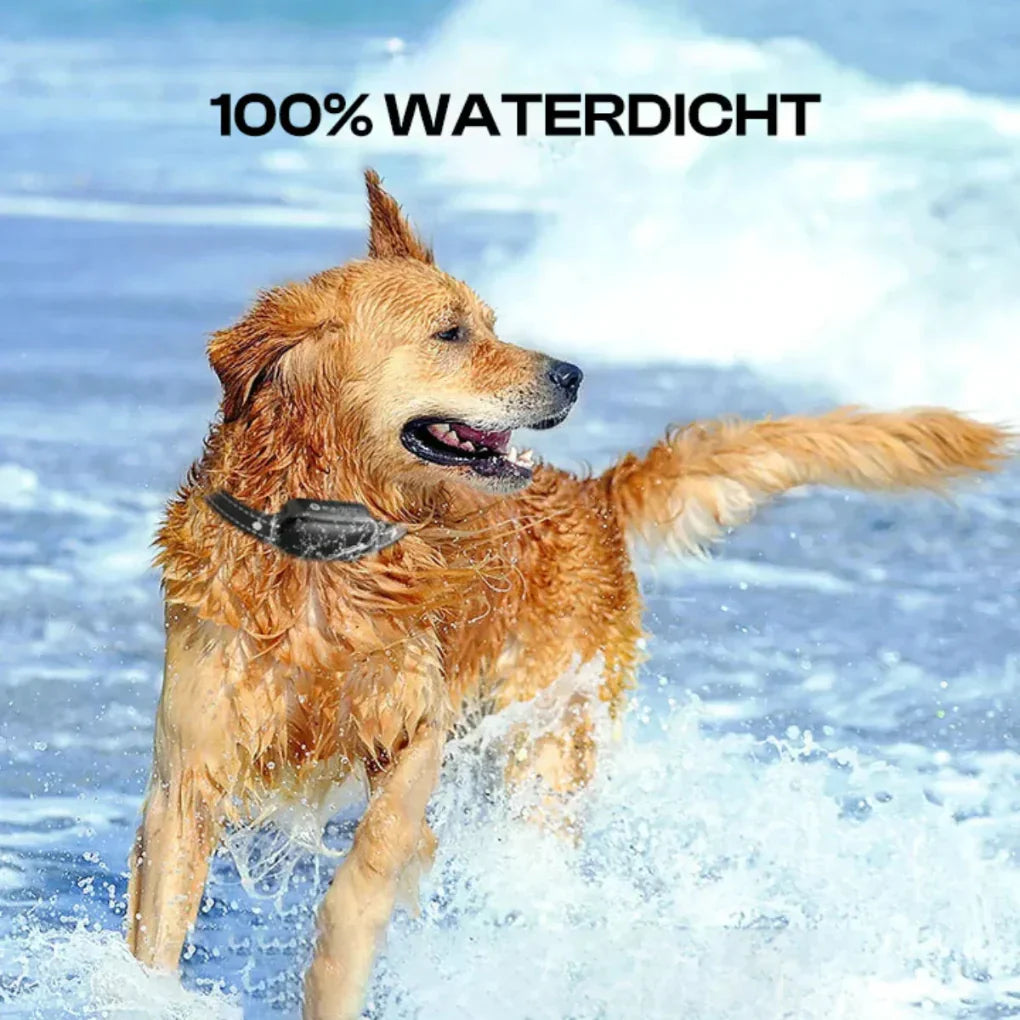 Nokmo | Remote Dog Training Collar with Beep & Vibration