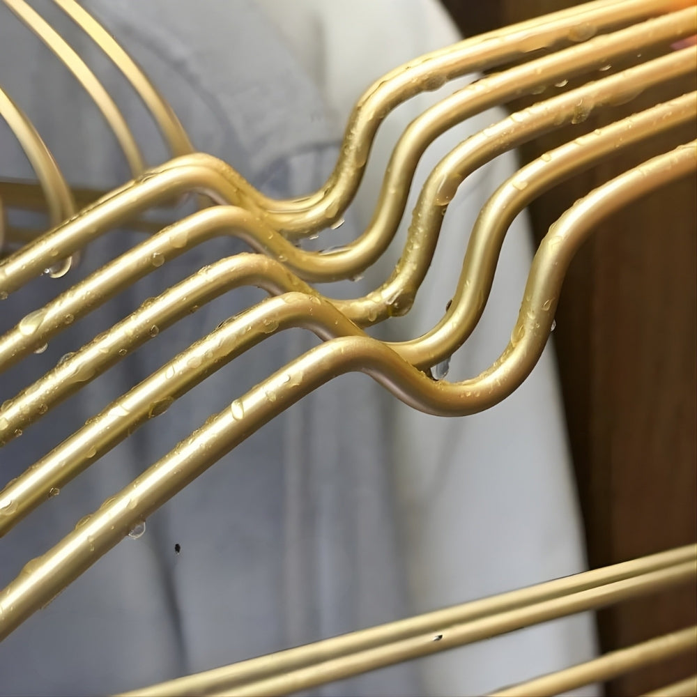 Aurex Clothes Hanger Seamless Non-Bulge Design | 10pcs Set