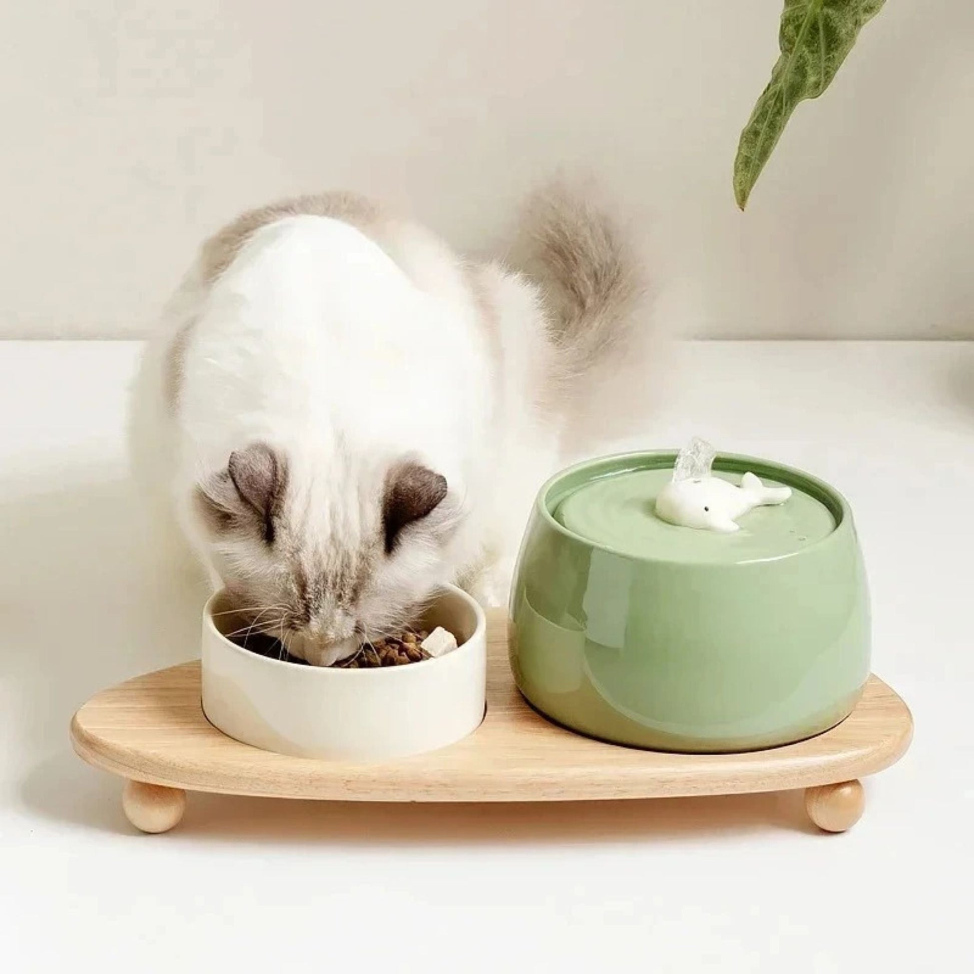 CAT CERAMIC WATER FOUNTAIN | AquaCeramic