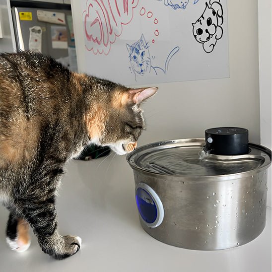 Cat Water Fountain | CORDLESS FOUNTAIN