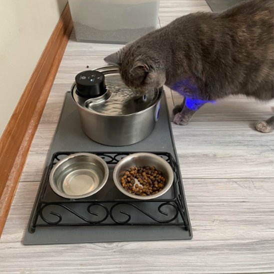 Cat Water Fountain | CORDLESS FOUNTAIN