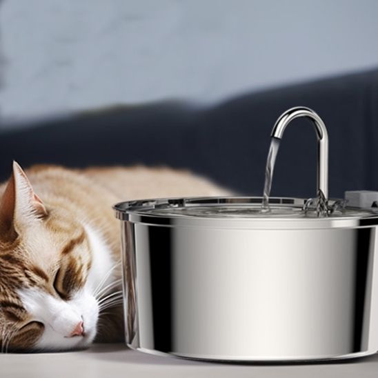 Cat Water Fountain | FRESH WATER