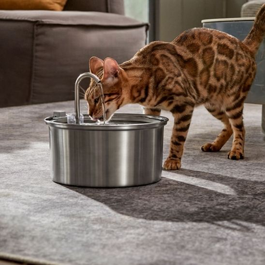 Cat Water Fountain | FRESH WATER
