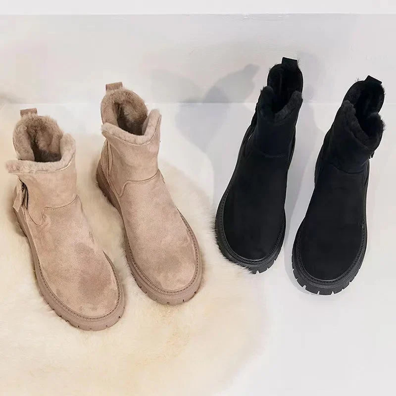 Dazzle - Shoes