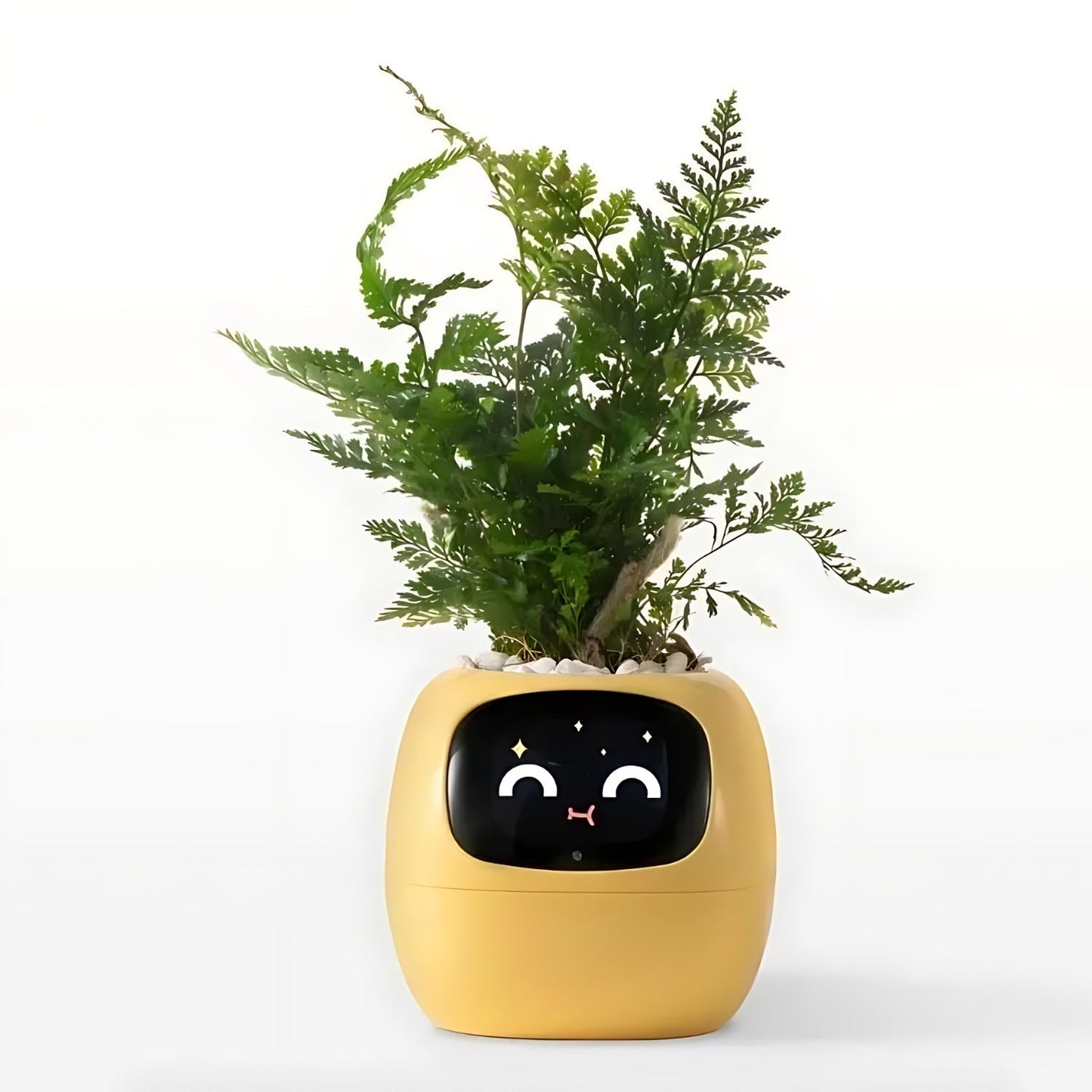Nokmo | Automatic Smart Flower Pot - GreenBuddy SmartPot