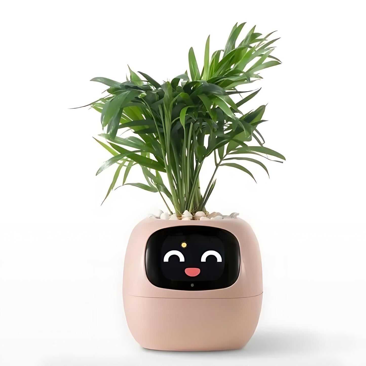 Nokmo | Automatic Smart Flower Pot - GreenBuddy SmartPot