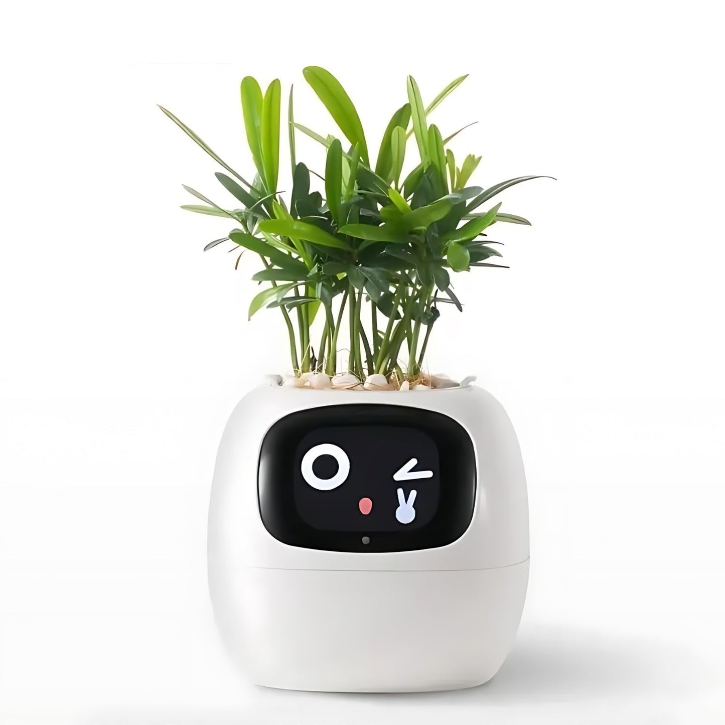 Nokmo | Automatic Smart Flower Pot - GreenBuddy SmartPot