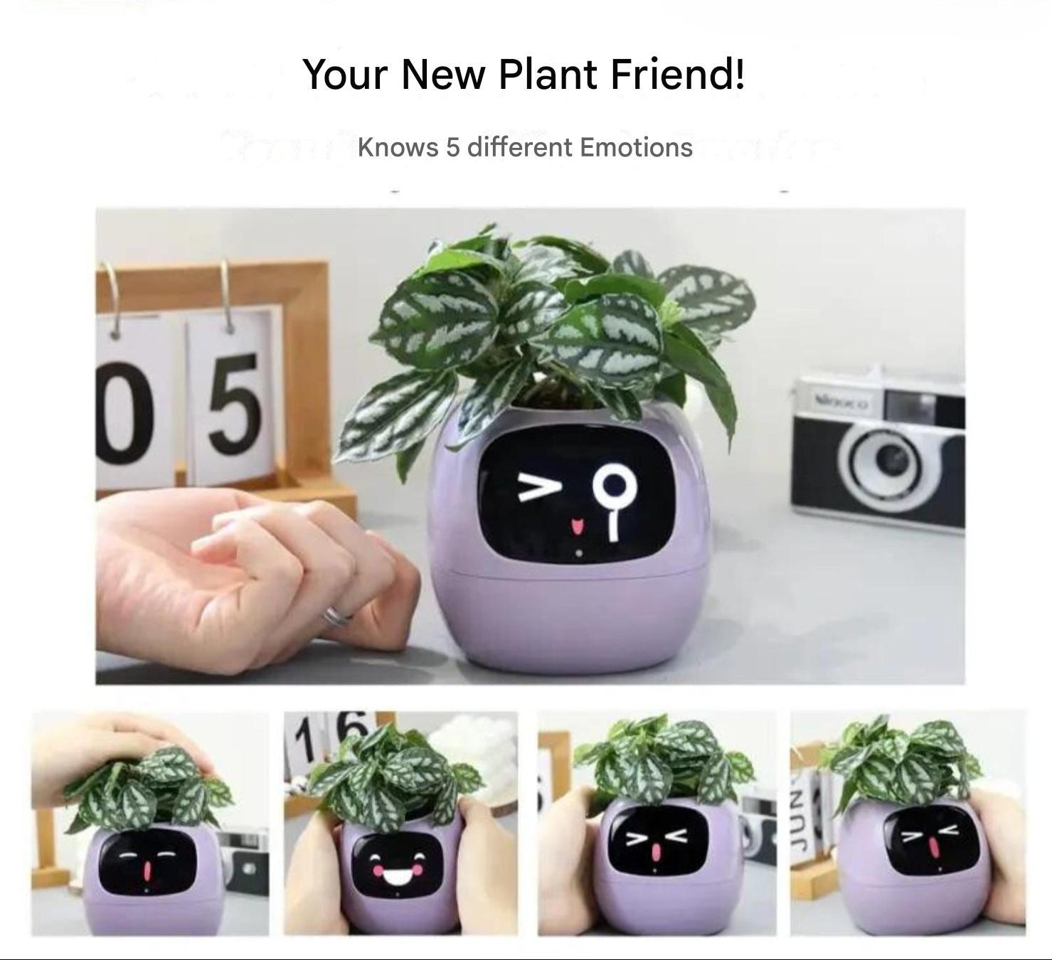 Nokmo | Automatic Smart Flower Pot - GreenBuddy SmartPot