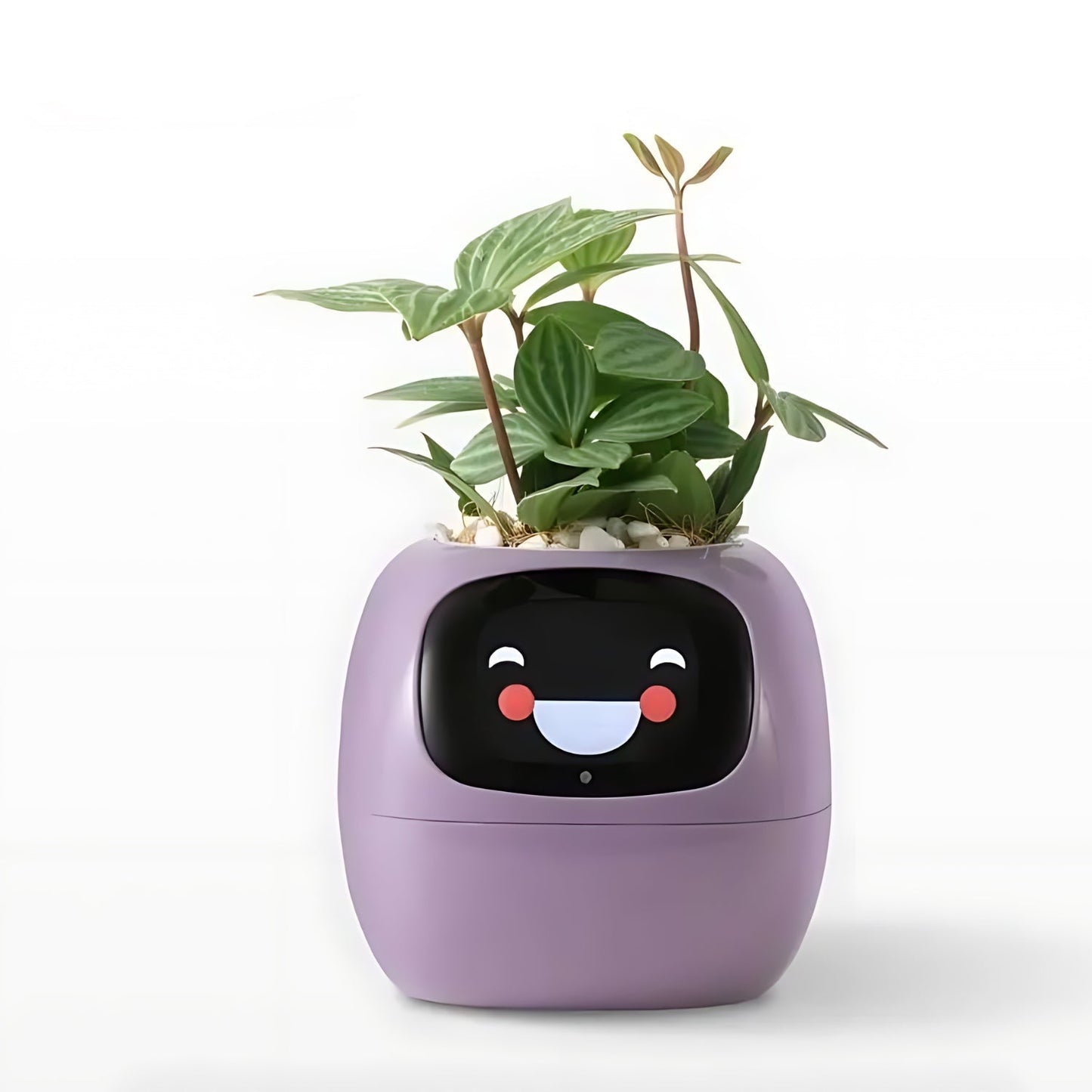 Nokmo | Automatic Smart Flower Pot - GreenBuddy SmartPot