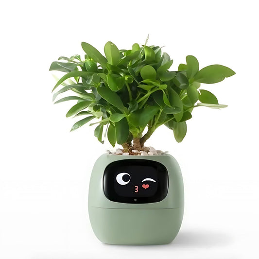 Nokmo | Automatic Smart Flower Pot - GreenBuddy SmartPot