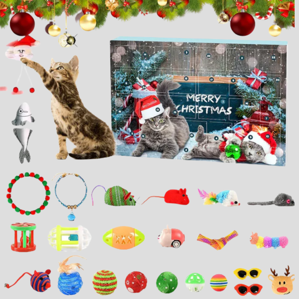 Nokmo | Cat Toy Advent Calendar for Christmas Countdown Fun