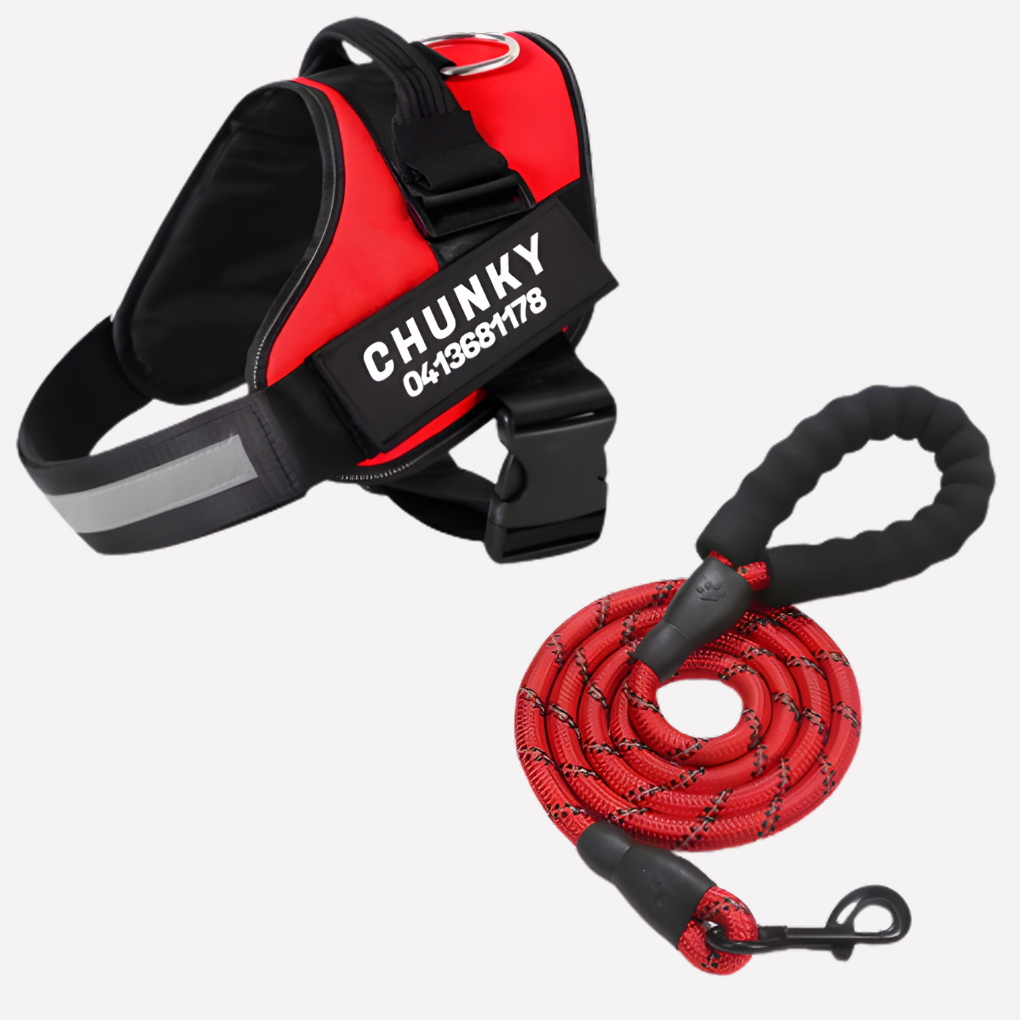 Nokmo | Customizable Anti-Pull Dog Harness