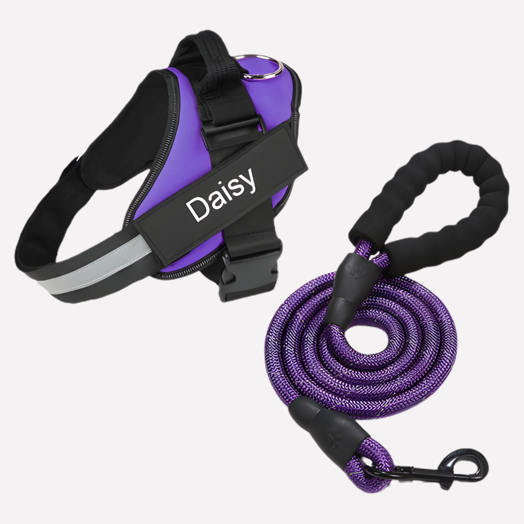 Nokmo | Customizable Anti-Pull Dog Harness