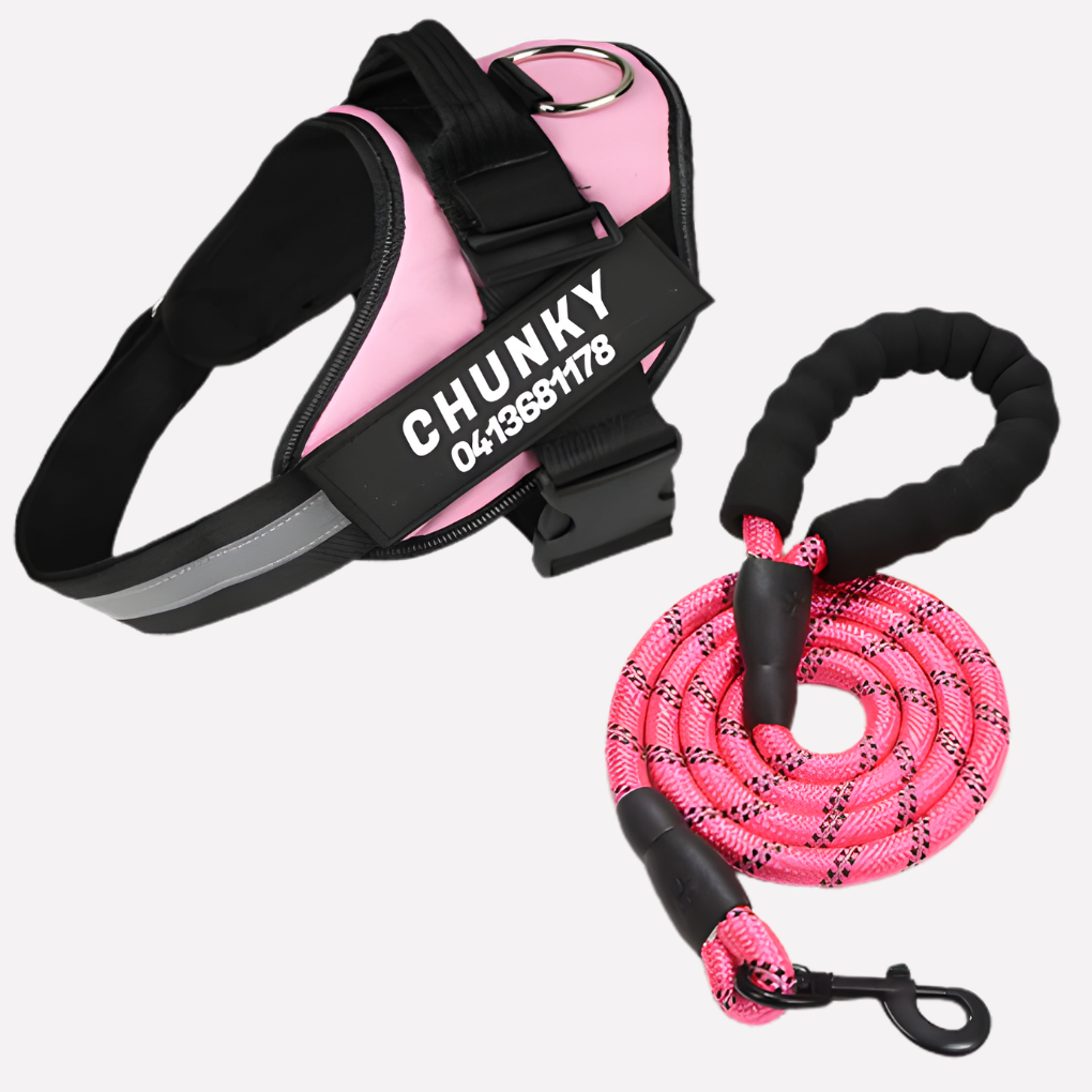 Nokmo | Customizable Anti-Pull Dog Harness