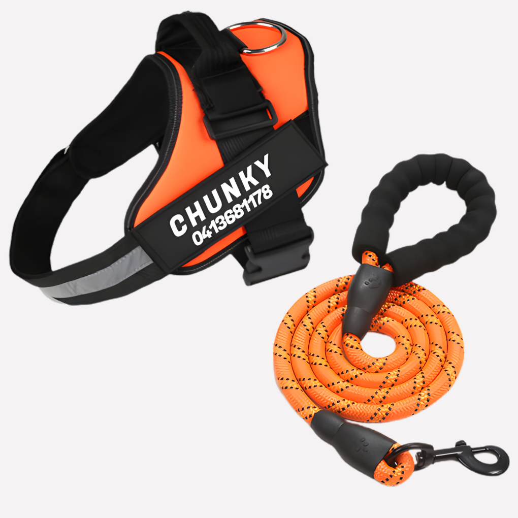 Nokmo | Customizable Anti-Pull Dog Harness