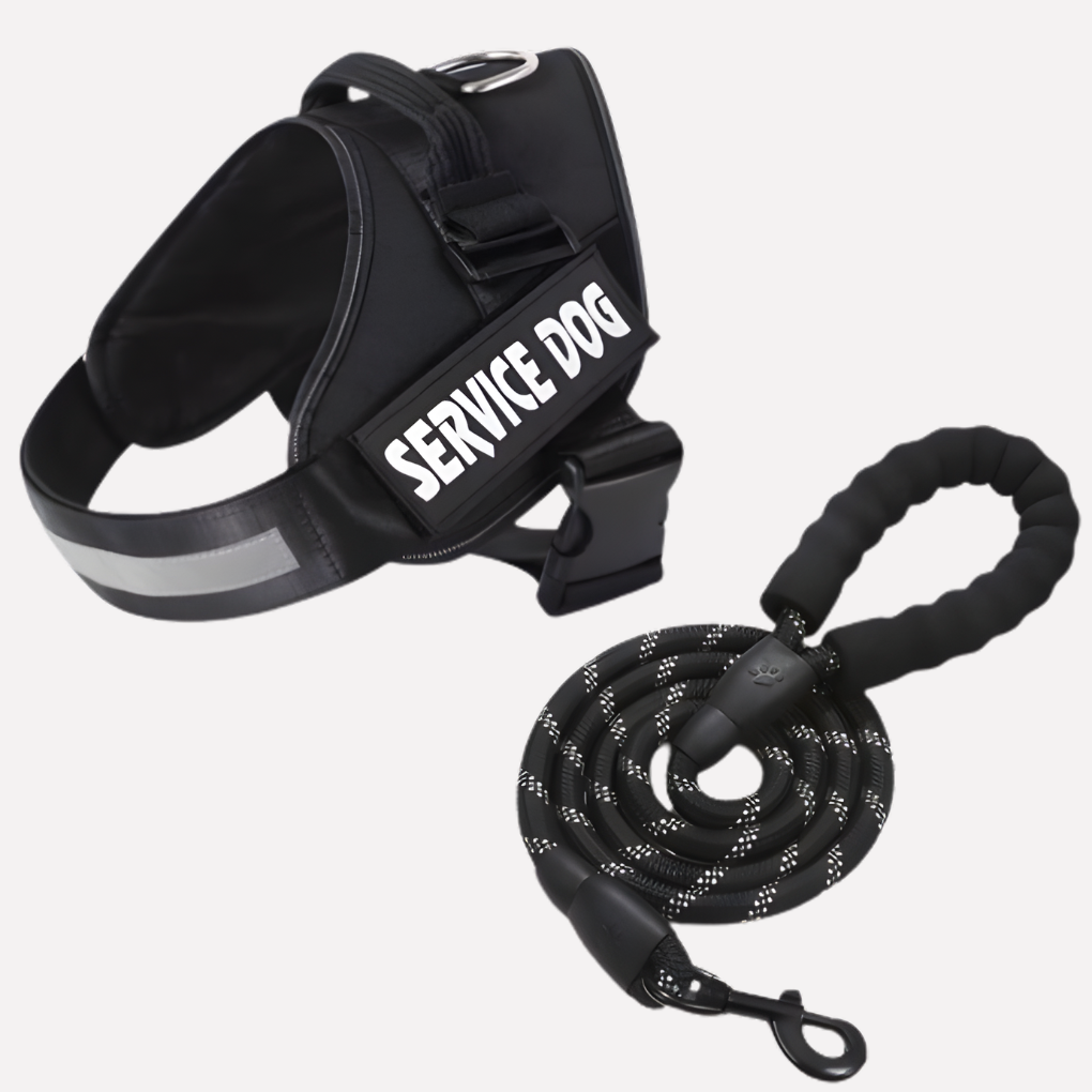 Nokmo | Customizable Anti-Pull Dog Harness