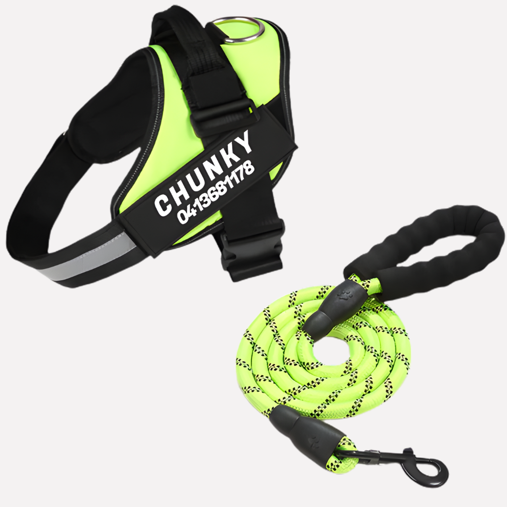 Nokmo | Customizable Anti-Pull Dog Harness