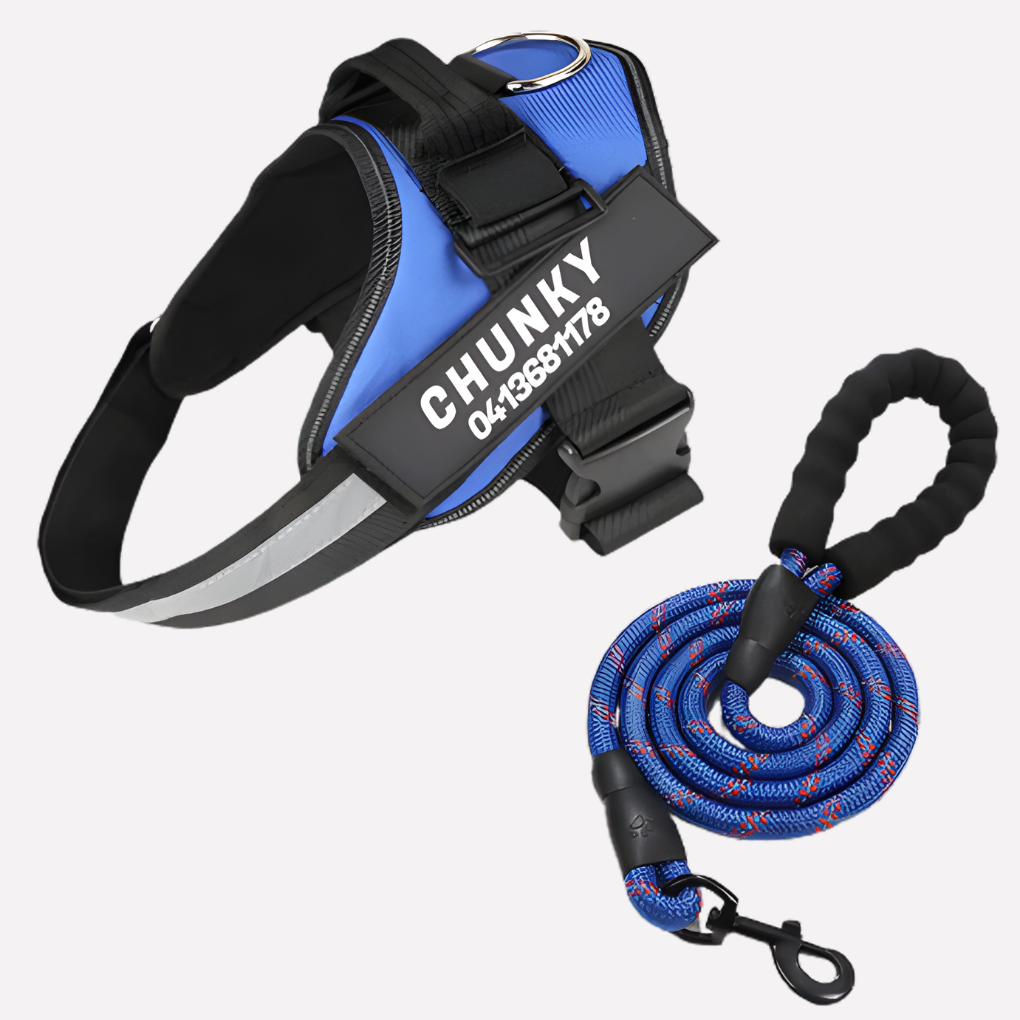 Nokmo | Customizable Anti-Pull Dog Harness
