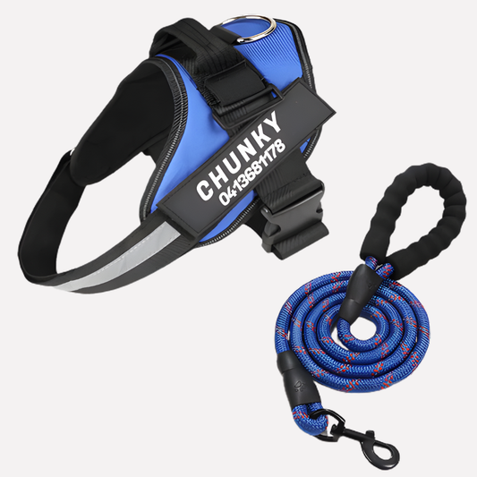 Nokmo | Customizable Anti-Pull Dog Harness