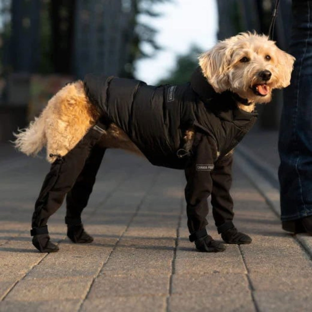 Nokmo | Dog Paw Protectors with Straps