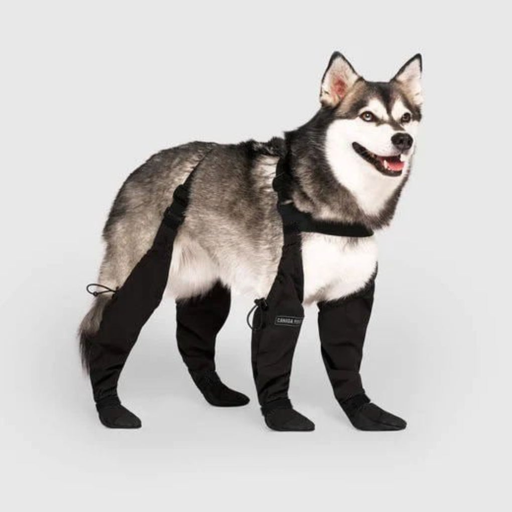 Nokmo | Dog Paw Protectors with Straps