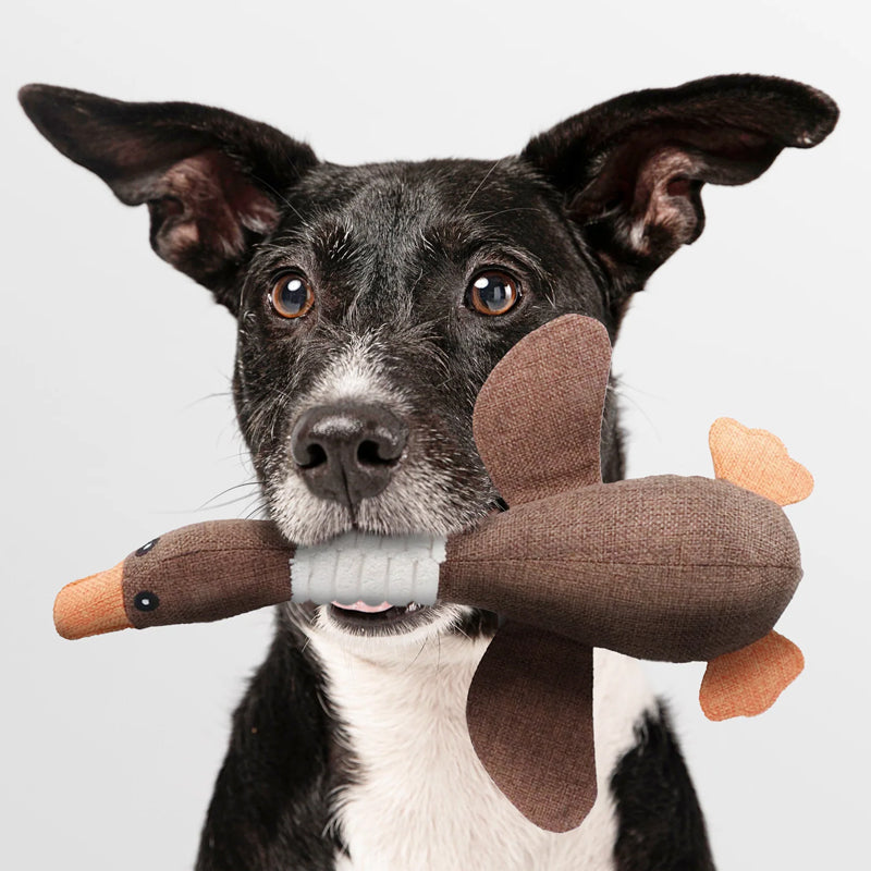 Nokmo | Dog Plush Toy - Duck Design