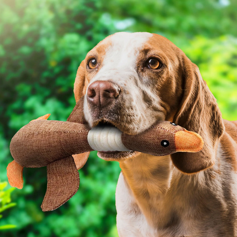 Nokmo | Dog Plush Toy - Duck Design