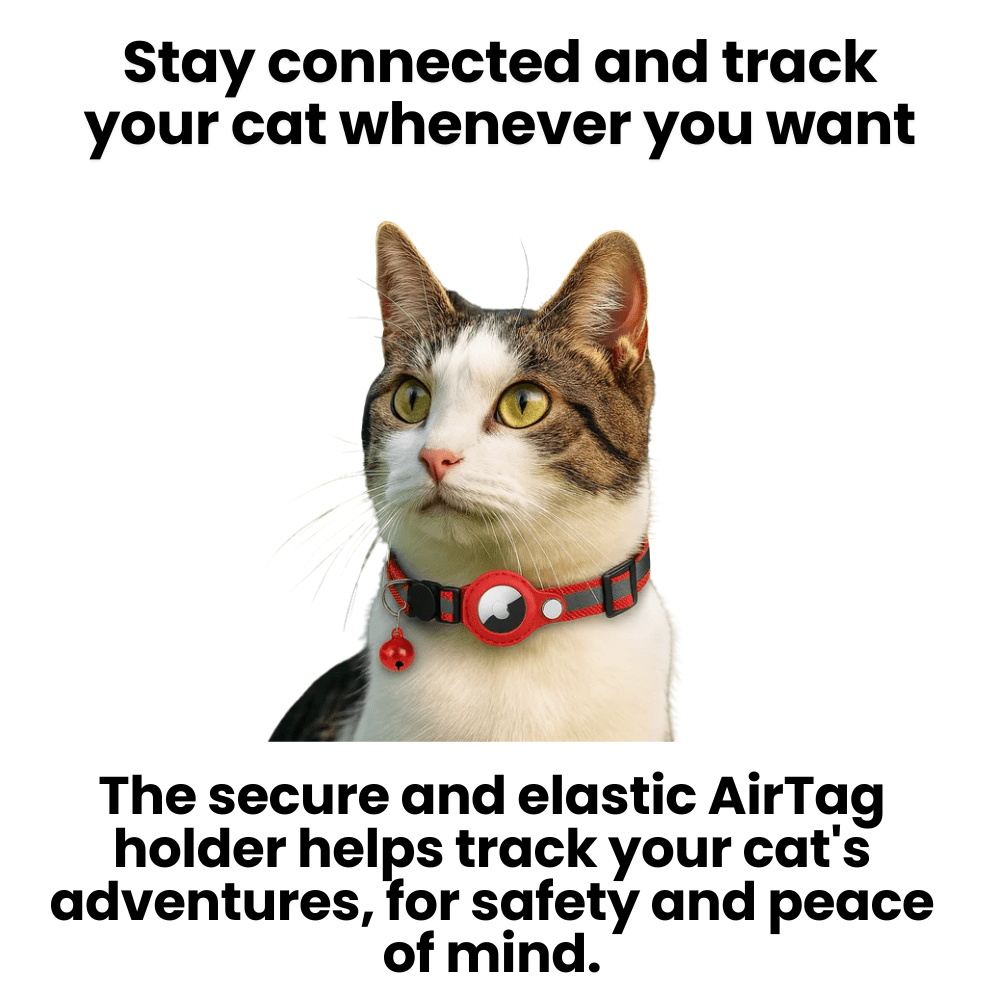 Nokmo | GPS Collar for Cats with Reflective Design