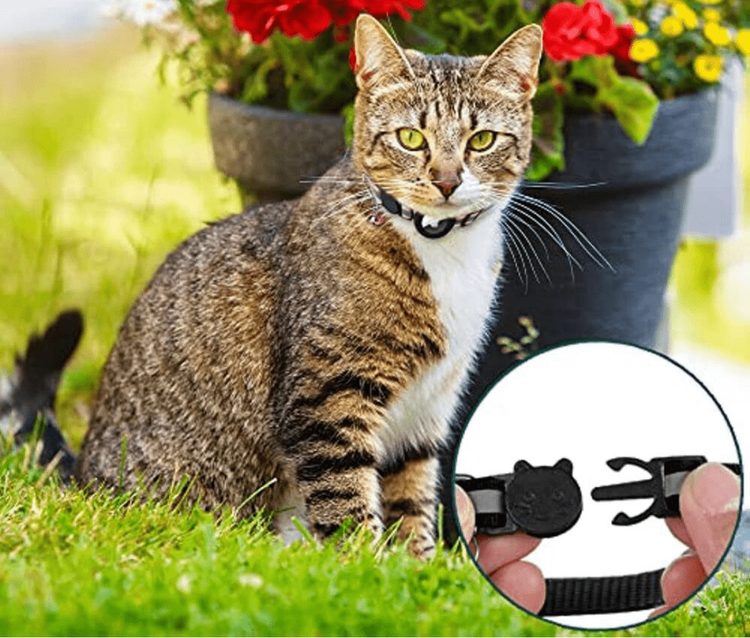 Nokmo | GPS Collar for Cats with Reflective Design