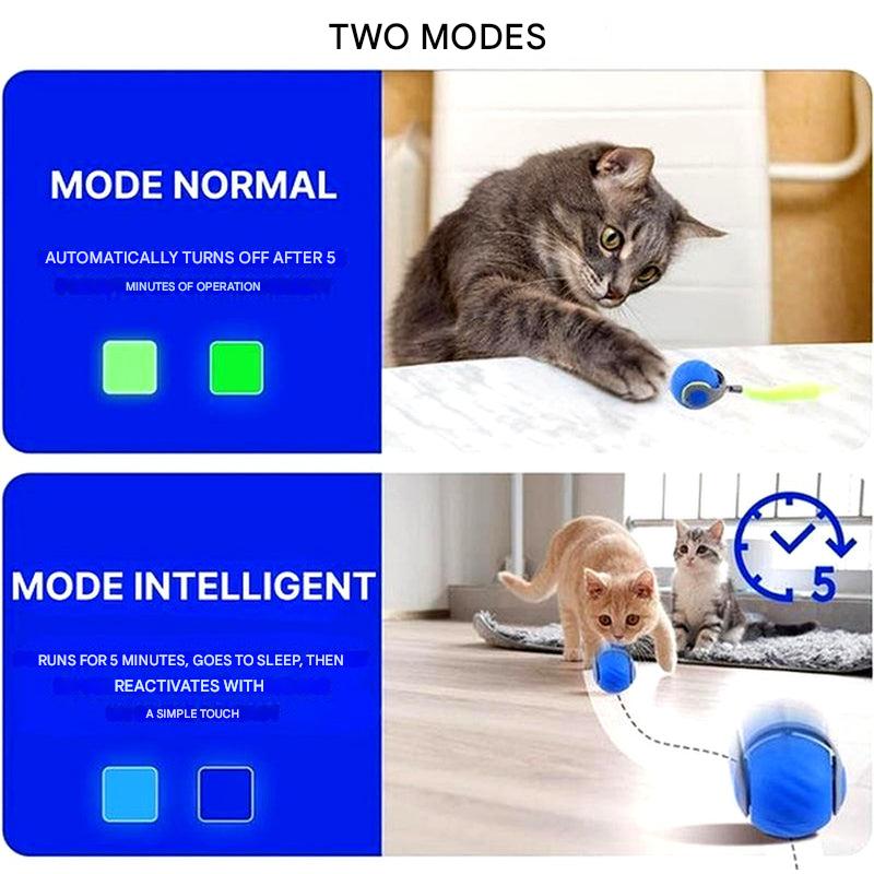Nokmo | Interactive Cat Ball Toy - Automatic Rolling Play Sphere