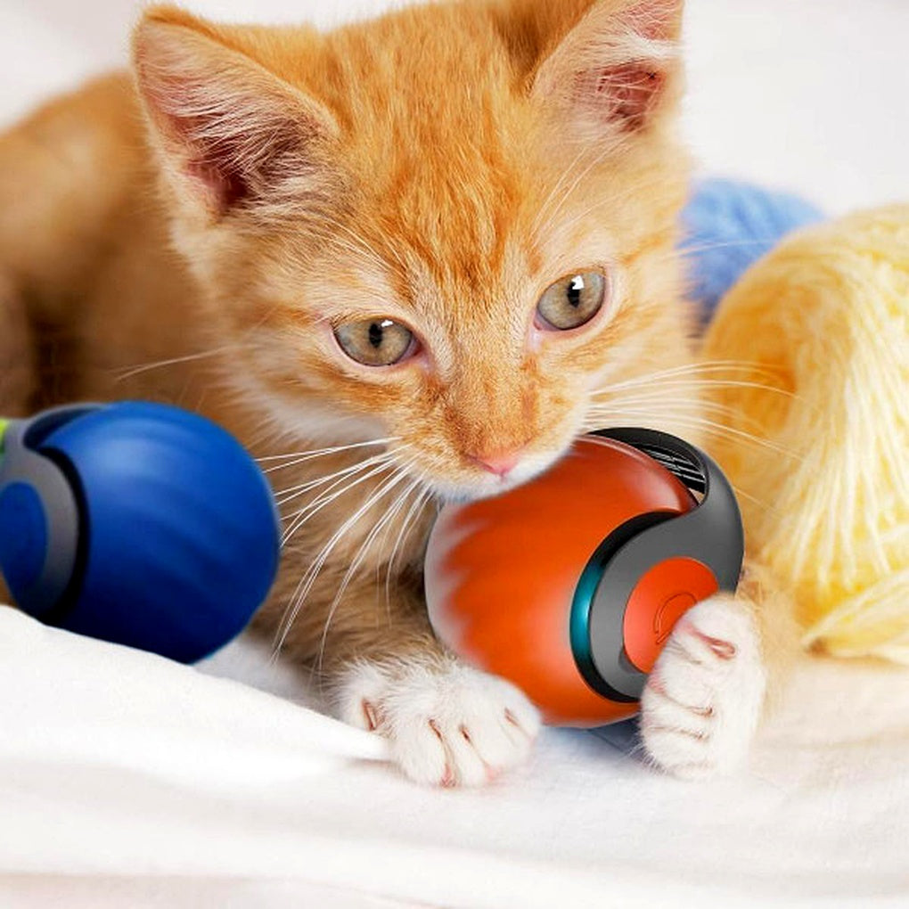 Nokmo | Interactive Cat Ball Toy - Automatic Rolling Play Sphere