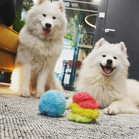 Nokmo | Interactive Dog Play Ball - Automatically Rolling Ball