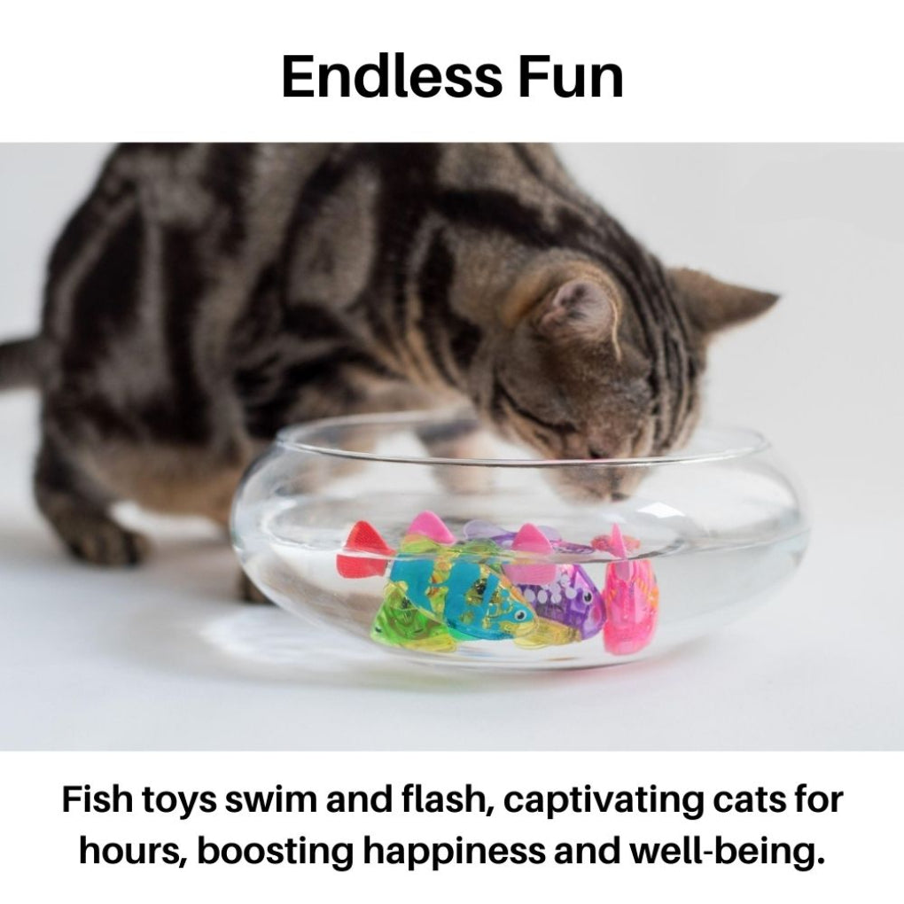 Nokmo | Interactive Swimming Cat Toy with Lights