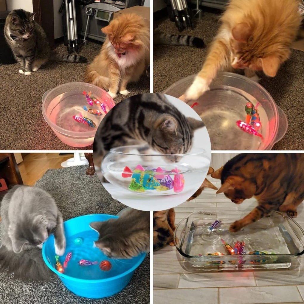 Nokmo | Interactive Swimming Cat Toy with Lights
