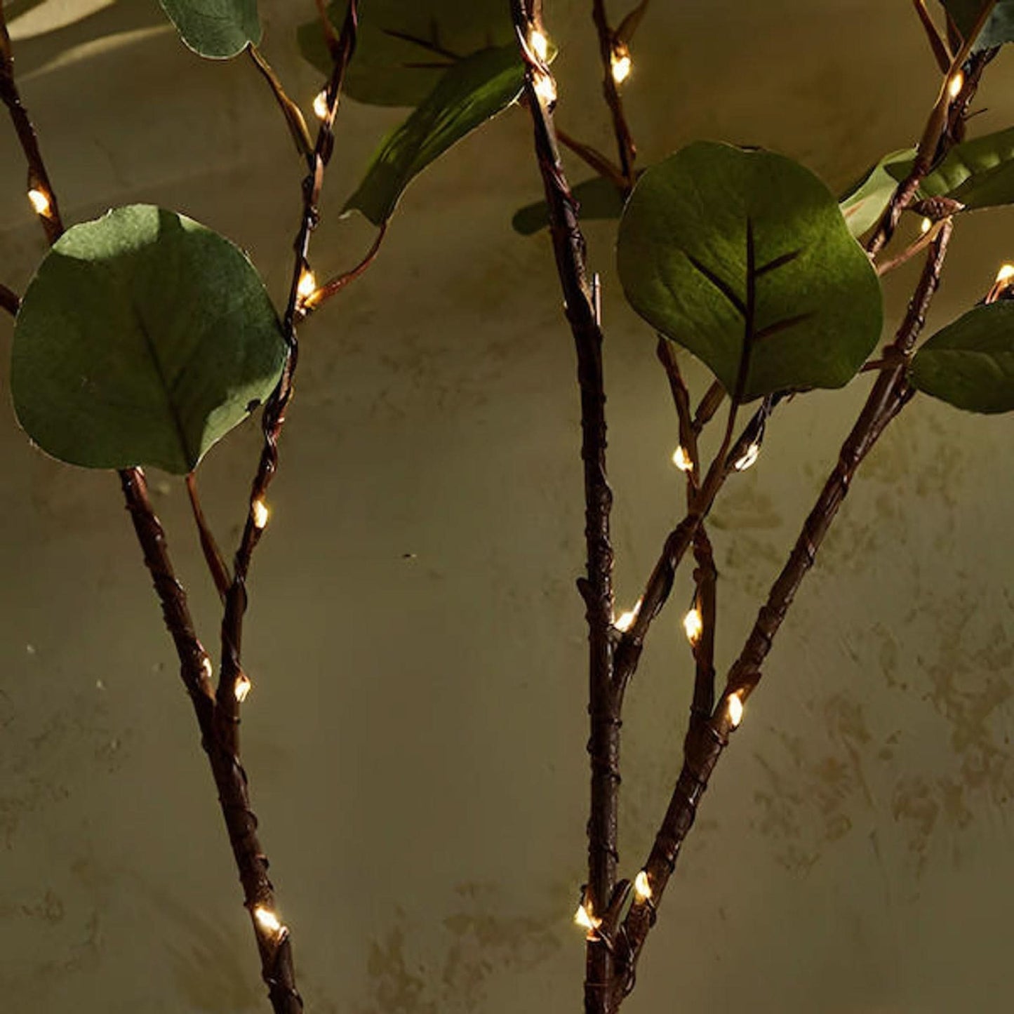 Nokmo | LED String Lights Olive Branch