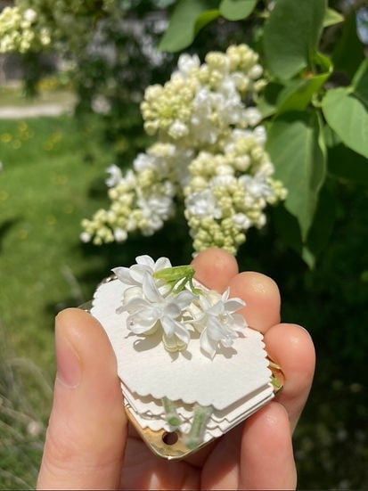 Nokmo | Mini Flower Press | Compact Botanical Keepsake Maker | Portable Craft Tool