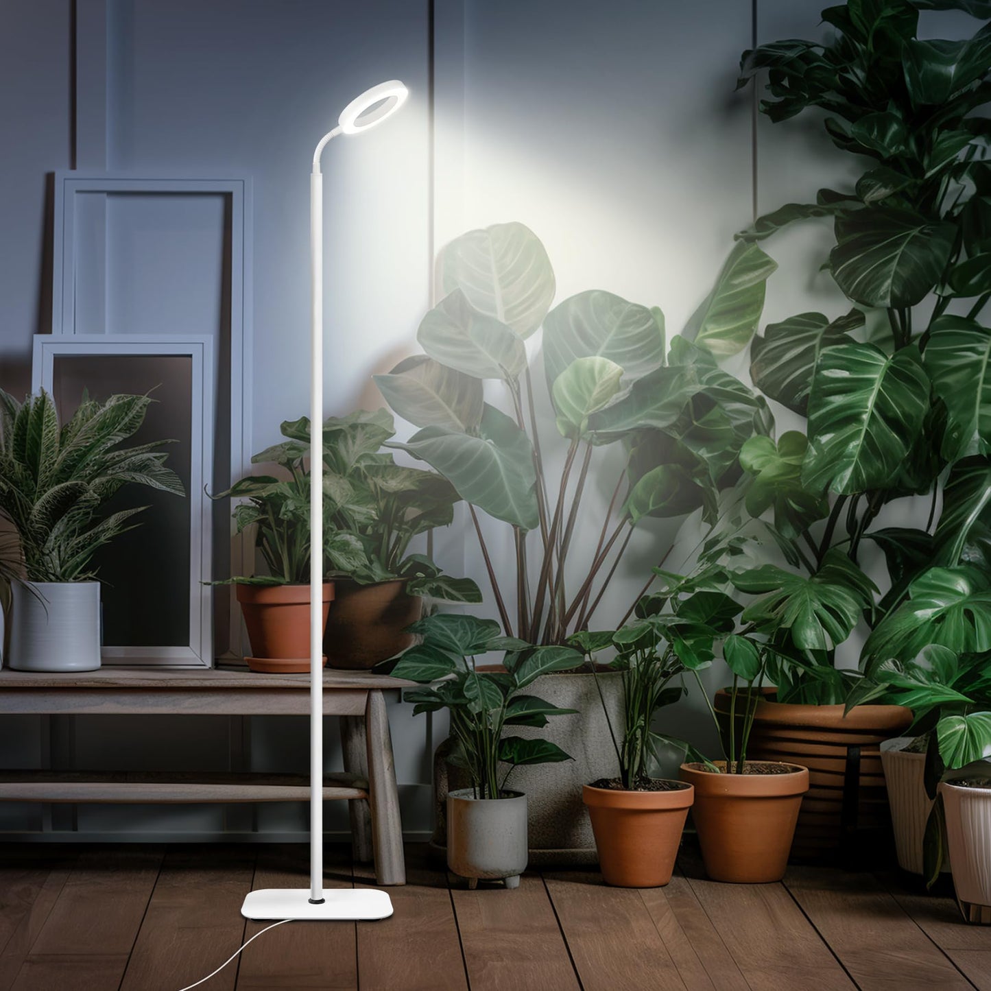 Nokmo | Mistyjungle Growth Light for Indoor Plants, Floor Full Spectrum Plant Light with Stand, Large Grow Lamps with Automatic Timer, 60 Inches Height Adjustable, 10 Level Dimmable, White Halo LED Grow Lamp