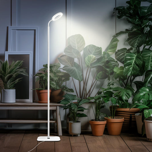 Nokmo | Mistyjungle Growth Light for Indoor Plants, Floor Full Spectrum Plant Light with Stand, Large Grow Lamps with Automatic Timer, 60 Inches Height Adjustable, 10 Level Dimmable, White Halo LED Grow Lamp