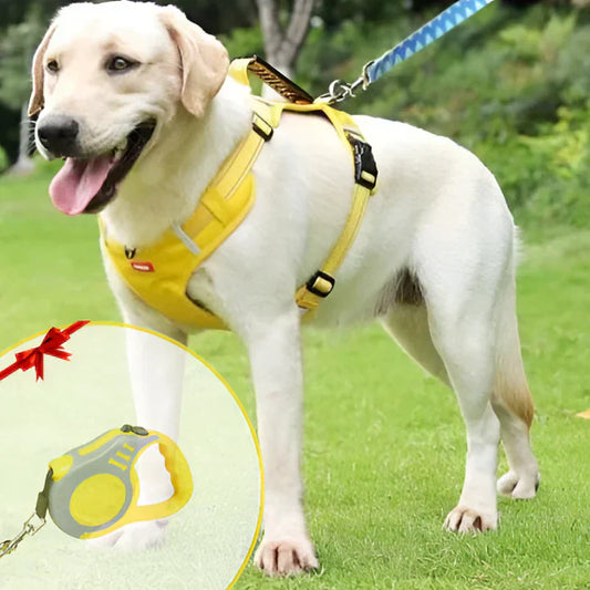 Nokmo | No-Pull Dog Vest with Padded Comfort and Reflective Strips