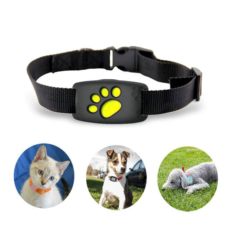 Nokmo | Slim GPS Cat Collar