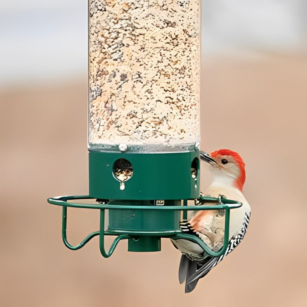 Nokmo | Squirrel-Proof Hanging Bird Feeder with Multiple Ports