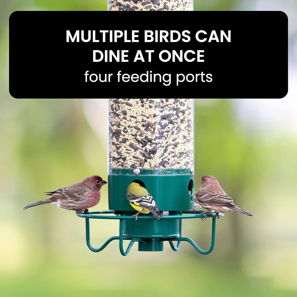 Nokmo | Squirrel-Proof Hanging Bird Feeder with Multiple Ports