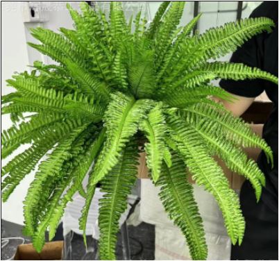 Nokmo | UV Resistant Lifelike Artificial Boston Fern