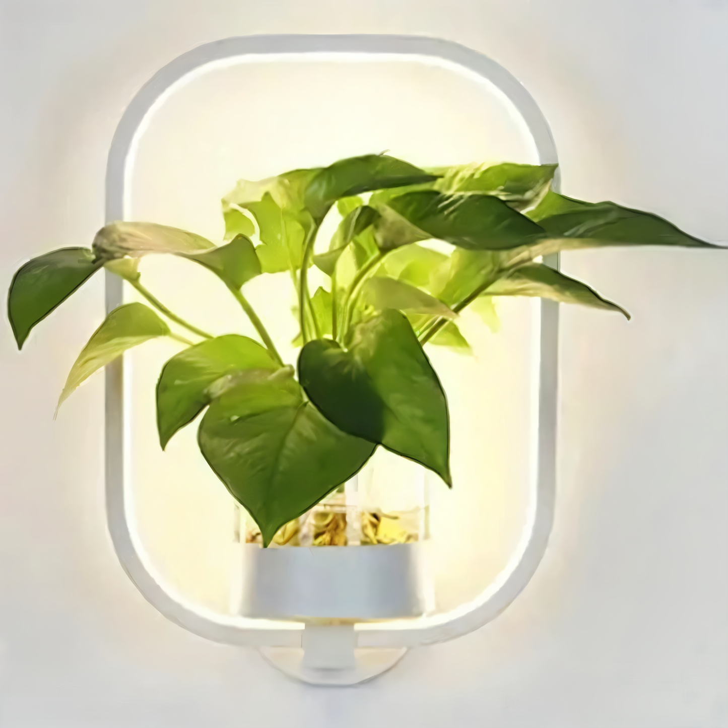Nokmo | VerdantLume LED Wall Light with Plant Holder