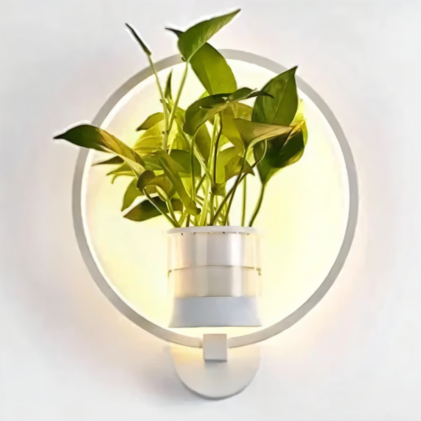 Nokmo | VerdantLume LED Wall Light with Plant Holder
