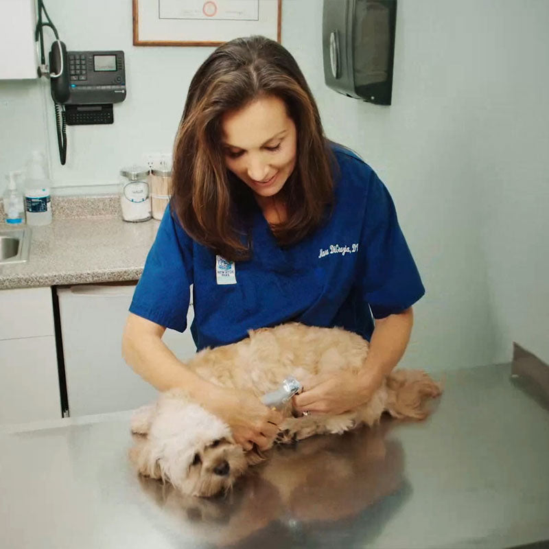 Paw Guard Pro Nail Clipper | Safe and Painless Clipping with Quick Sensors.