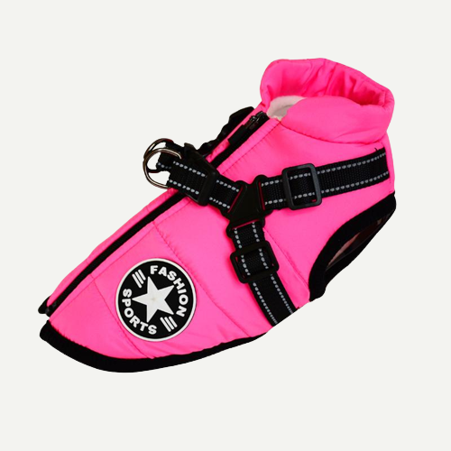 PawShield™ – The 3-in-1 Dog Jacket