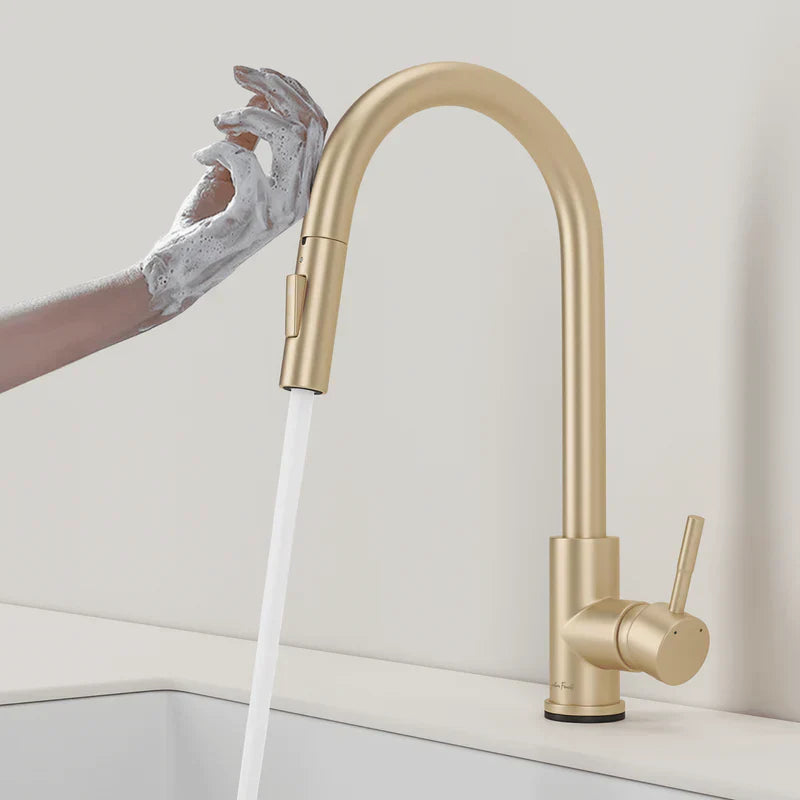 Premium Touch Retractable Kitchen Faucet